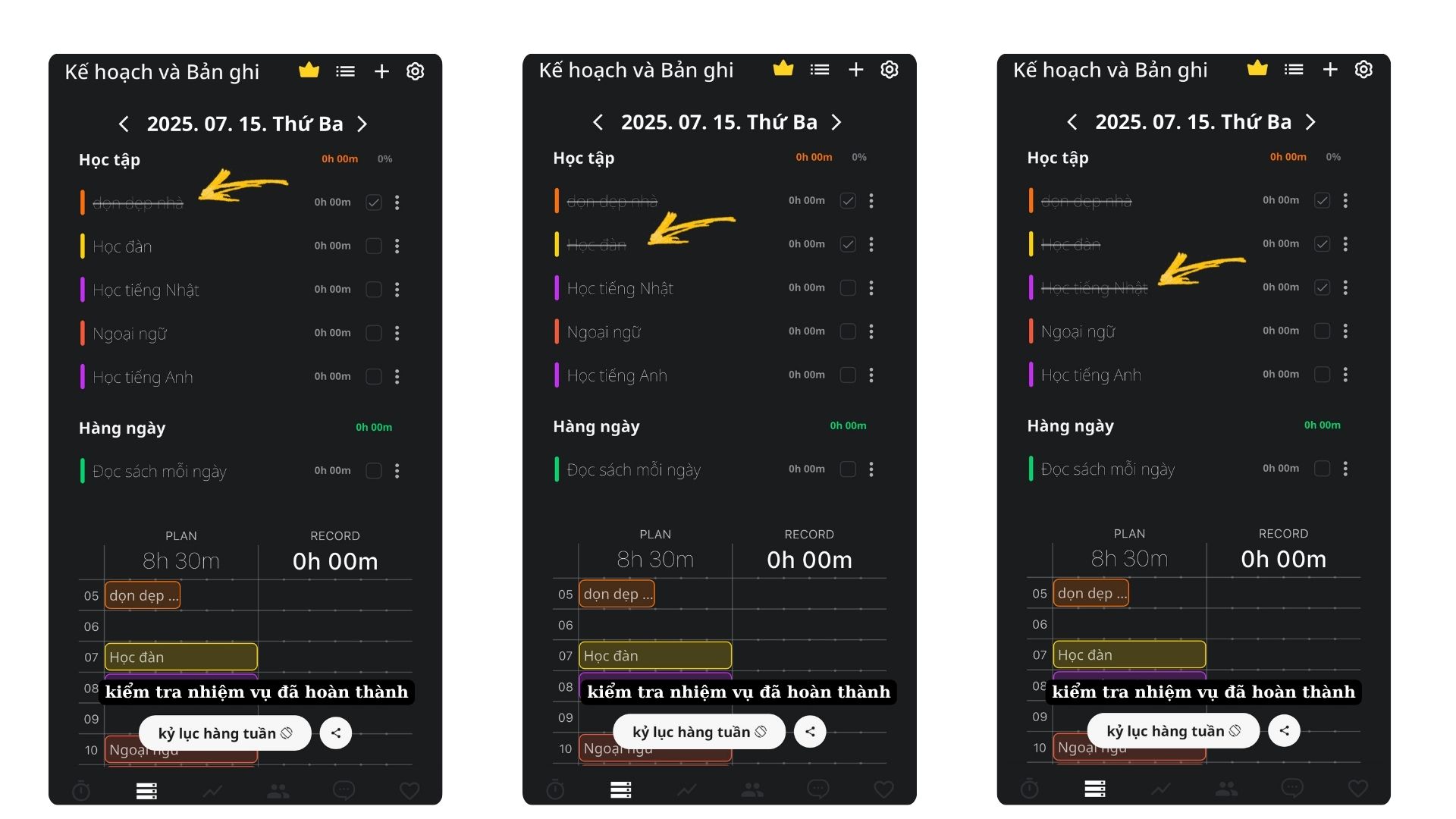 DOTE TIMER (10)